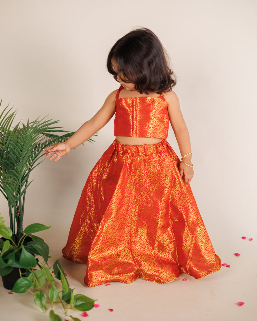 Red Benarasi Lehenga